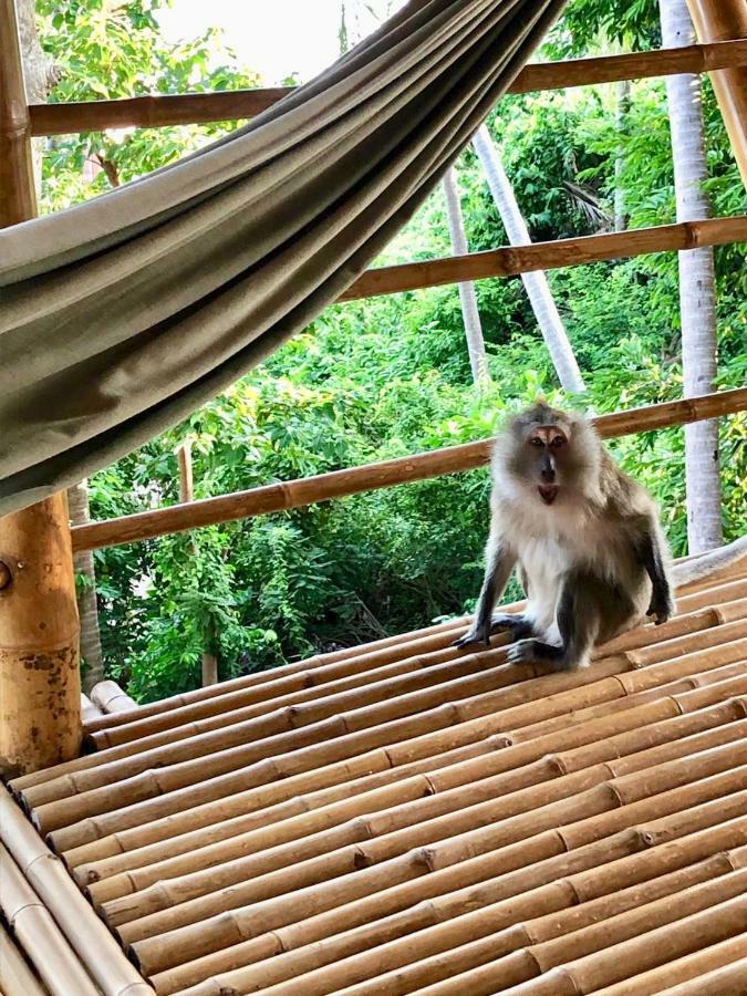 Kalulushi Bungalows เกาะพะงัน ภายนอก รูปภาพ